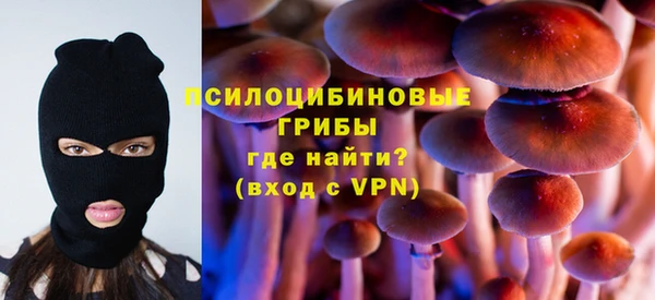 сатива Аркадак