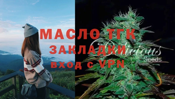 сатива Аркадак