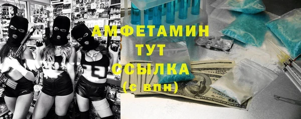 сатива Аркадак