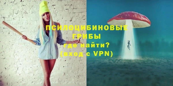 сатива Аркадак