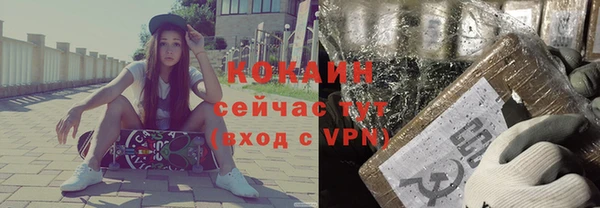 сатива Аркадак