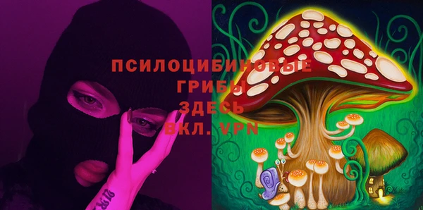 spice Саяногорск